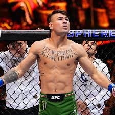 temp_image_1744501248.061282 UFC 314: Volkanovski x Diego Lopes – Ao Vivo, Horário e Onde Assistir