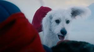 temp_image_1752468833.555643 Supergirl, Krypto e a História Emocionante por Trás do Cão do Superman no Novo Filme