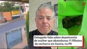 temp_image_1756508130.46624 Abandono Brutal no PR: Mulher Investigada por Deixar 11 Filhotes de Cachorro em Lixeira em Santo Antônio da Platina