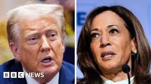 temp_image_1756552413.32267 Trump Revoga Proteção do Serviço Secreto de Kamala Harris: Entenda a Polêmica e Suas Implicações