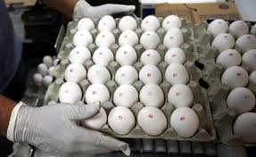 temp_image_1763265398.751263 Mantiqueira Acelera Expansão nos EUA com Aquisição Milionária da Hickmans Egg Ranch