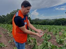 temp_image_1764373092.713838 Alerta Granizo no Rio Grande do Sul: Defesa Civil Atua em Meio a Tempestades Severas