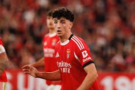 temp_image_1767463236.215634 Benfica x Estoril: Reviravolta Inesperada! Lesão de Barrenechea e a Promessa de Estreia de Sidny