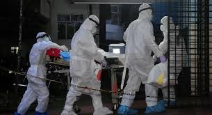 temp_image_1769716502.208962 Alerta Nipah: O que você precisa saber sobre o vírus e as medidas de prevenção