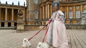 temp_image_1769829179.112974 Rainha Charlotte: A História Real por Trás da Série da Netflix