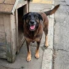 temp_image_1770173717.160075 Glo: Entenda o Erro Comum e Como Resolver