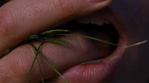 temp_image_1770686431.617858 Filme O Morro dos Ventos Uivantes: Uma Adaptação Gótica e Intensa