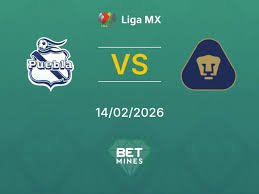 temp_image_1771043369.750592 Pumas: Entenda o Bloqueio de Segurança e Como Resolver