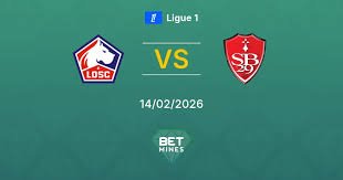 temp_image_1771097143.709184 Lille: Entenda o que está por trás da proteção Cloudflare e como isso afeta sua navegação