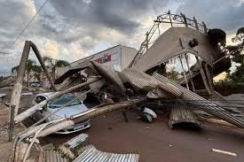 temp_image_1771721480.533293 Palmeira: Guia Completo Sobre a Rainha Tropical - Tipos, Cuidados e Significado