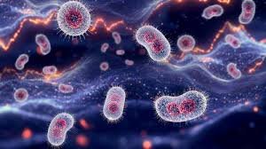 temp_image_1771833610.206861 Doença Mpox: Sintomas, Transmissão, Tratamento e Prevenção - Guia Completo