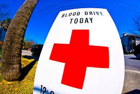 temp_image_1774872463.559178 Cross: O Que É, Benefícios, Como Começar e Melhores Equipamentos