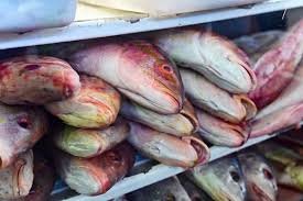 temp_image_1775213994.773708 O Que Não Pode Fazer na Sexta-Feira Santa: Guia Completo para uma Reflexão Consciente