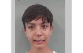 temp_image_1775565381.365464 Criança Autista Desaparecida em Marília: Buscas Intensas Mobilizam a Cidade