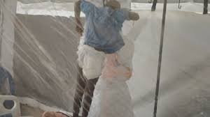 temp_image_1790555746.664376 Ebola: O Alerta da Nova Variante e a Grave Crise Humanitária